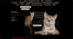 Desktop Screenshot of bengalcatsofnortherncalifornia.com